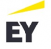 Ernst & Young, s.r.o.